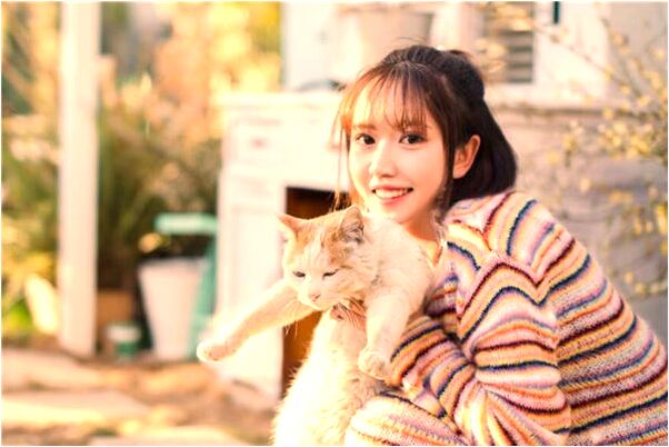 夢到皮夾手機掉了是什麼徵兆_周公解夢官網