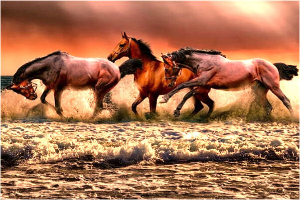 夢見己故長輩是啥預兆_周公解夢官網