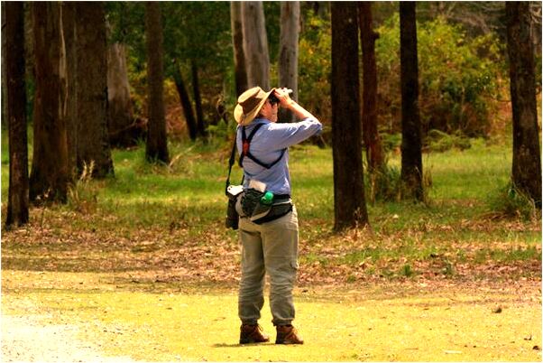 夢到了坐在棺材裡是好是壞_周公解夢官網