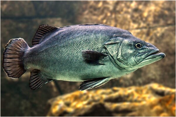 夢見一盞路燈會是什麼預兆_周公解夢官網