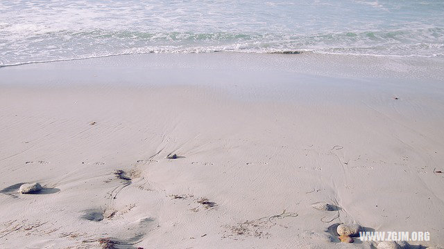 夢見和同事上床_周公解夢夢到和同事上床是什麼意思_做夢夢見和同事上床好不好_周公解夢官網