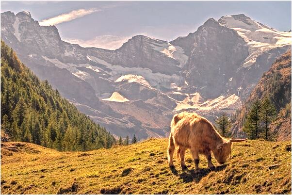 夢到了送人到火車站等車是啥預兆_周公解夢官網