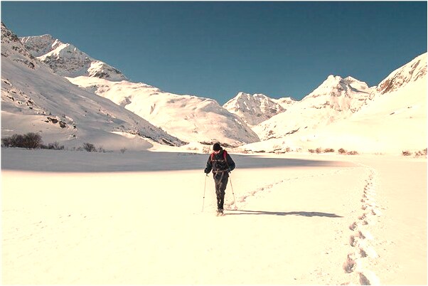 夢到了打吊針手出血有什麼預示嗎_周公解夢官網