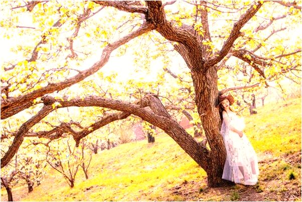 夢見別人搶我糖果是什麼徵兆_周公解夢官網