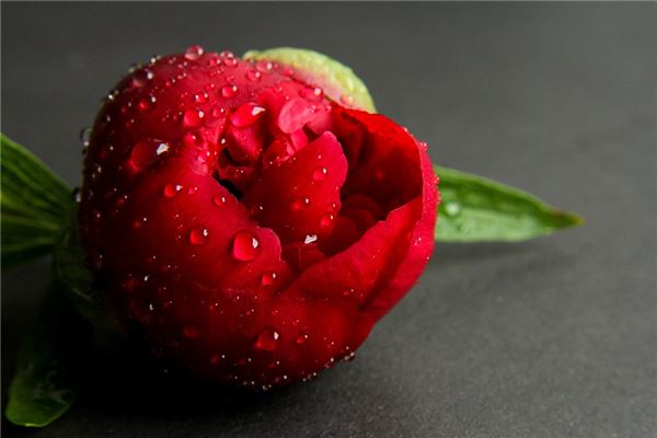 夢到了介子是什麼兆頭_周公解夢