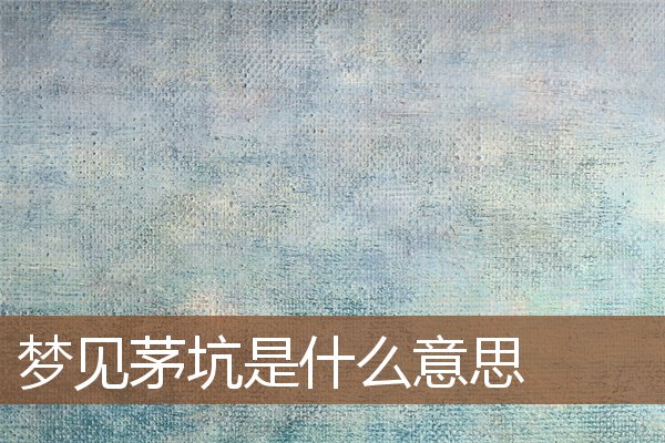 夢見茅坑是什麼意思_周公解夢