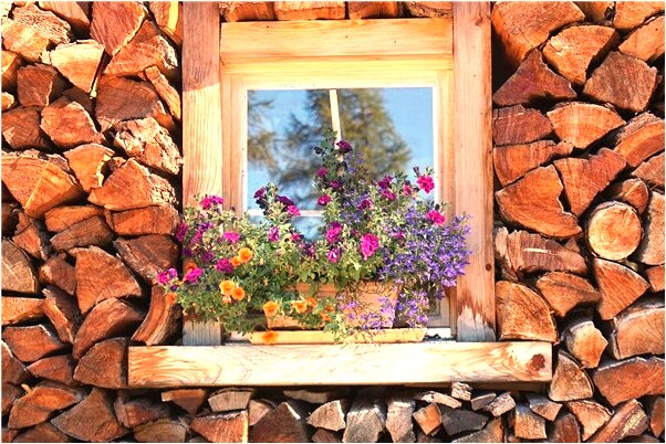 夢見和朋友去旅合肥是啥意思_周公解夢官網