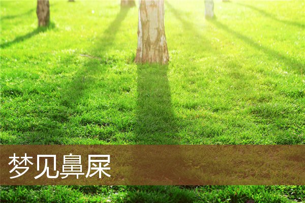 夢見鼻屎_周公解夢