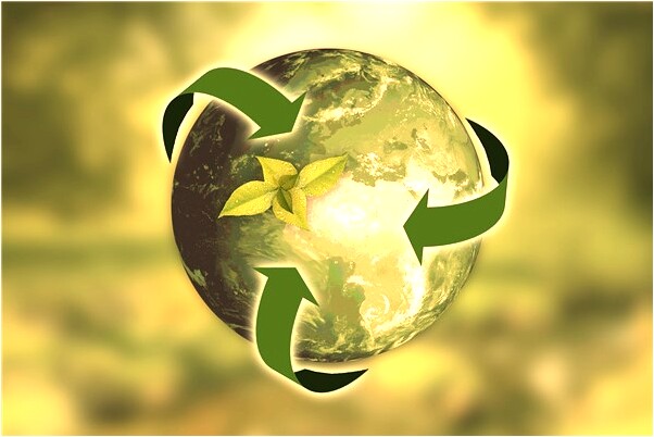 夢到蛇入宅是好是壞_周公解夢官網