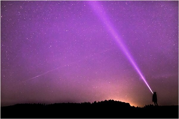 夢見我睡覺進來只狗睡我被子上好不好_周公解夢官網