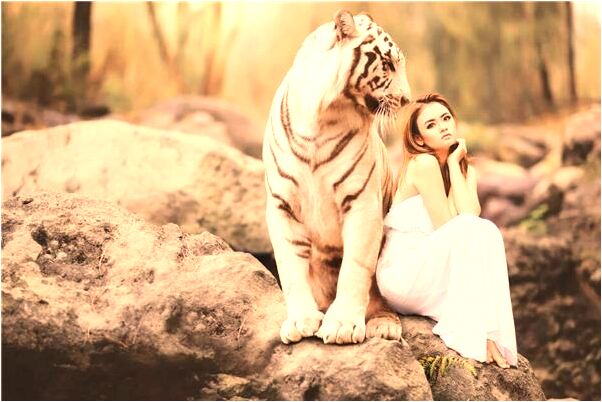 夢到了死貓和自己說話有什麼說法_周公解夢官網