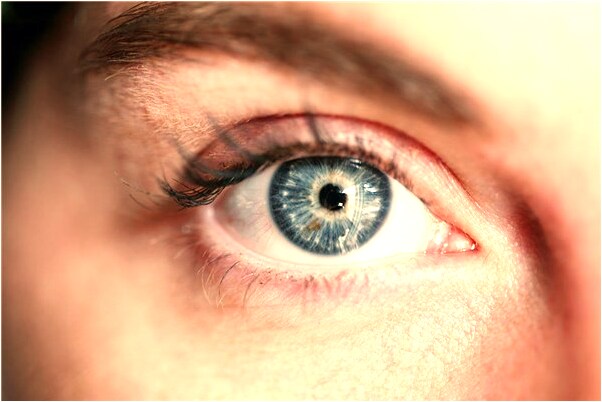 夢到了私密處長蛆意味著什麼_周公解夢官網