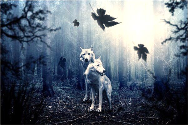 夢見燒白紙錢會是什麼預兆_周公解夢官網