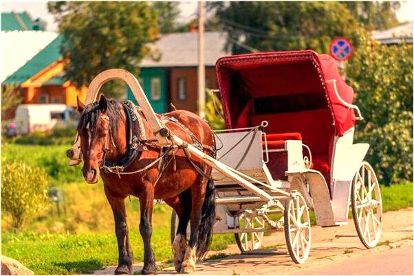 夢見暖氣管跑水被堵住有什麼意思_周公解夢官網