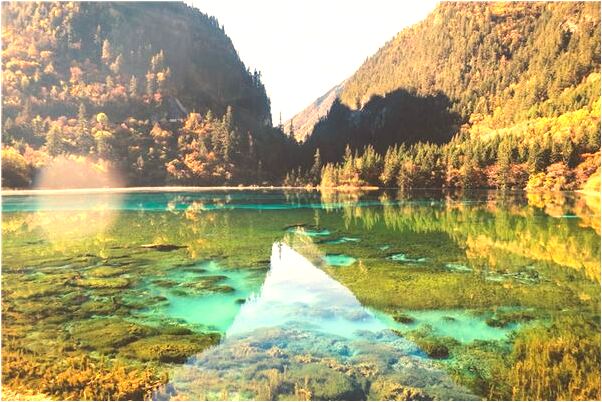 夢到了夢境很有情節性有什麼意義嗎_周公解夢官網