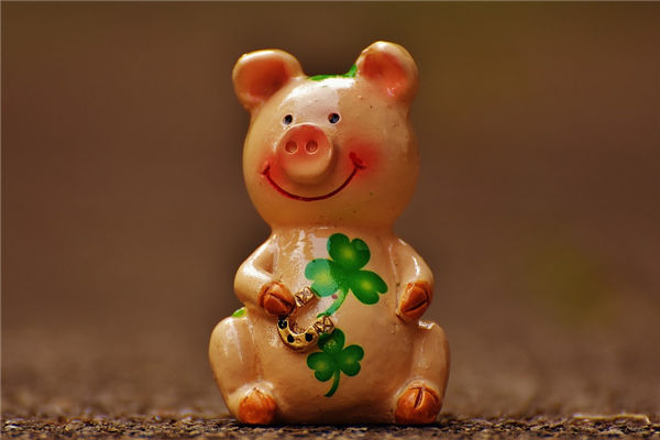 屬豬的男人性格好壞_十二生肖