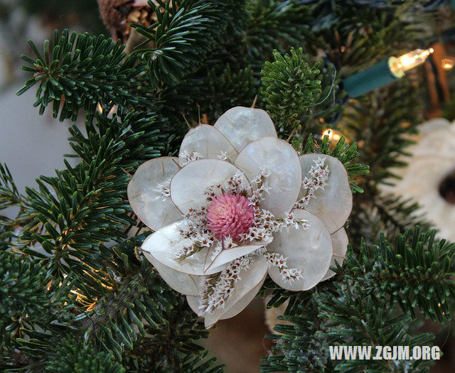 夢見白龍在水裡游_周公解夢夢到白龍在水裡游是什麼意思_做夢夢見白龍在水裡游好不好_周公解夢官網