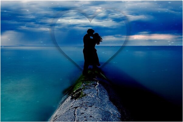 夢到了狗變人駕車有什麼預示嗎_周公解夢官網