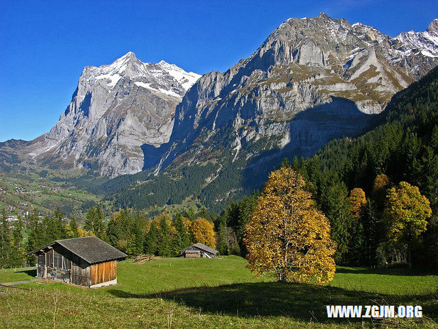夢見從身體裡抽出蟲子_周公解夢夢到從身體裡抽出蟲子是什麼意思_做夢夢見從身體裡抽出蟲子好不好_周公解夢官網
