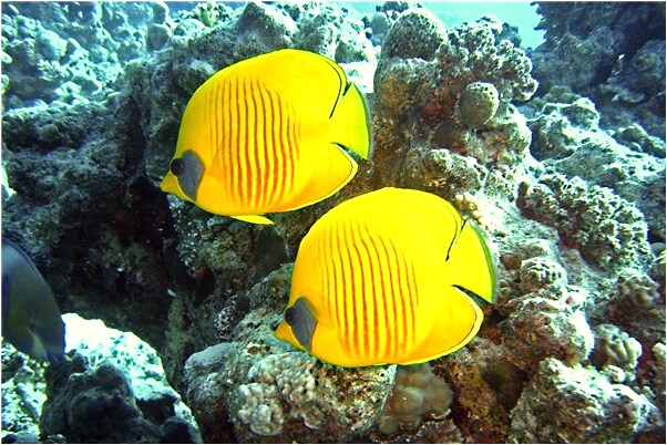 夢到了女人拍裸照給別人看預示了什麼_周公解夢官網