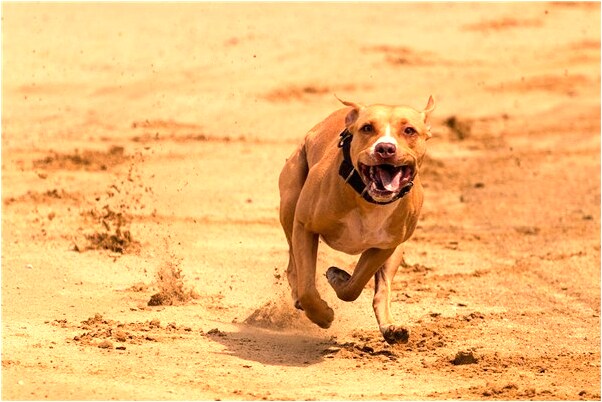 夢見女友哭泣預示什麼_周公解夢官網