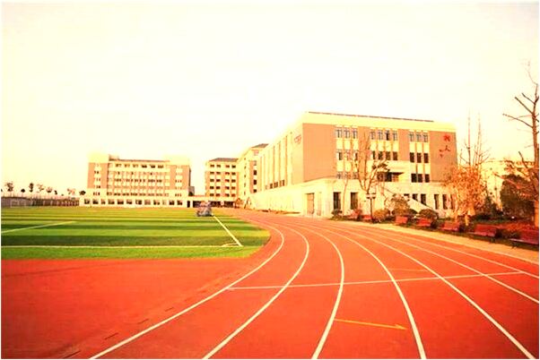 夢到了蛇和蟾蜍還有螞蝗是好是壞_周公解夢官網