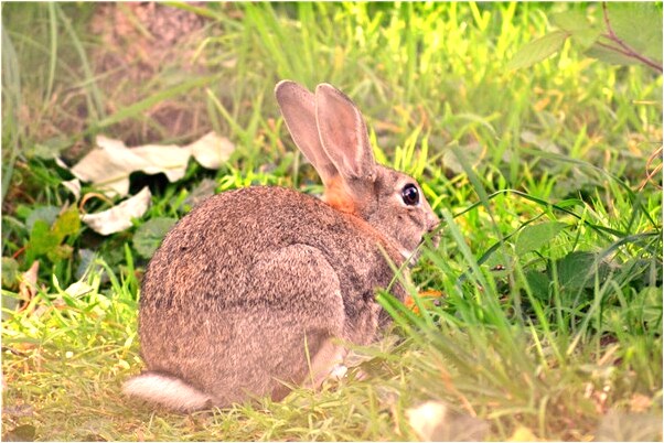 夢到給男人蓋被子預兆了什麼嗎_周公解夢官網