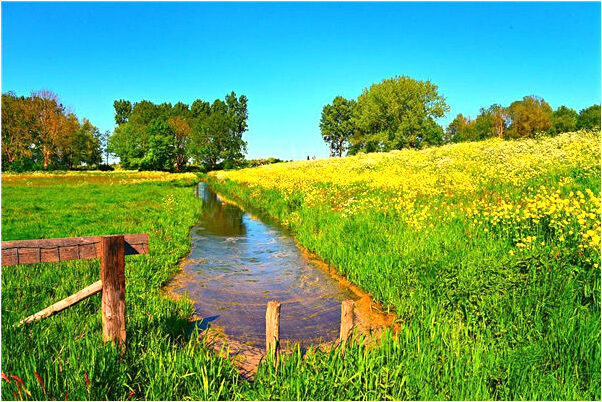 夢見黑襪子會是什麼預兆_周公解夢官網