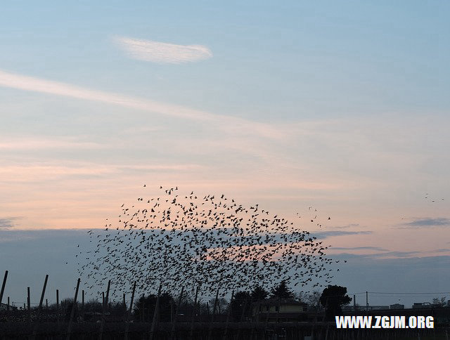 夢見小女孩跟著我_周公解夢夢到小女孩跟著我是什麼意思_做夢夢見小女孩跟著我好不好_周公解夢官網