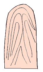 O kay emperor palms fortune-telling diagram of 07 _ to visit fortune-teller accomplishment