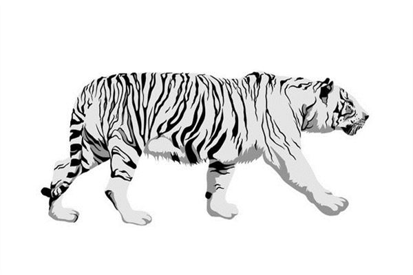 1974年屬虎46歲至50歲_十二生肖