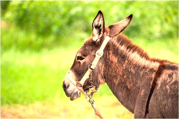 夢到了李玖哲想太多歌詞會有什麼預兆_周公解夢官網