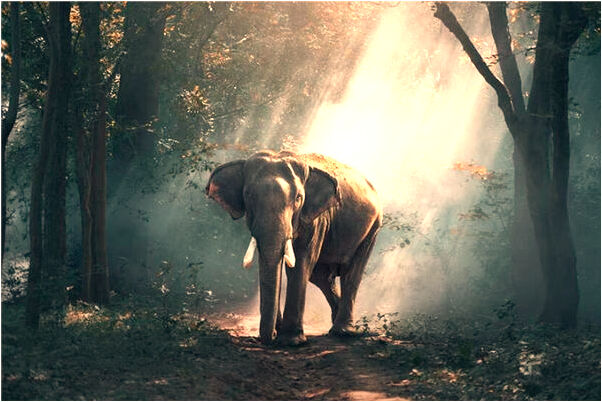 夢到自己結婚前一天睡覺是啥意思_周公解夢官網