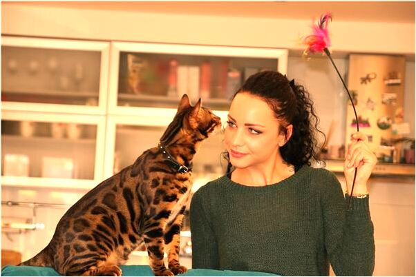 夢到了一男人看天空黑雲是什麼徵兆_周公解夢官網