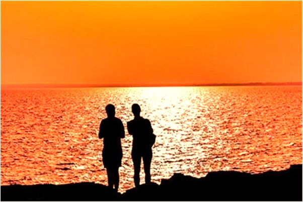 夢到在屋被兔子追且咬了我手指是什麼預兆？_周公解夢官網