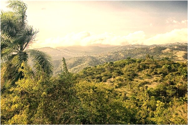 夢到了兒子和髒小孩玩是什麼徵兆_周公解夢官網