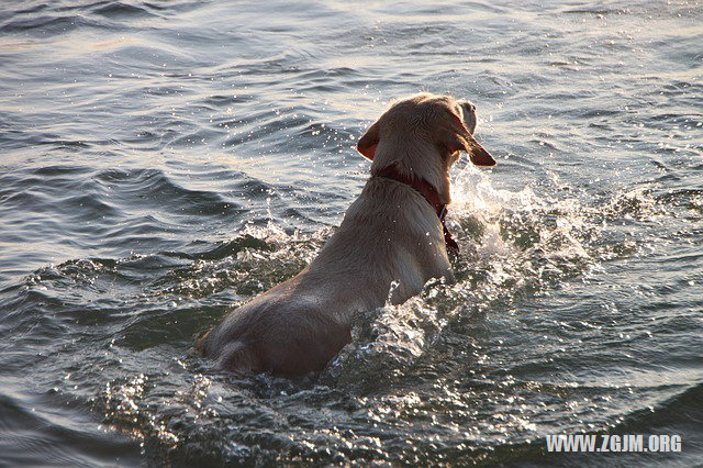 夢見晚上曬穀_周公解夢夢到晚上曬穀是什麼意思_做夢夢見晚上曬穀好不好_周公解夢官網