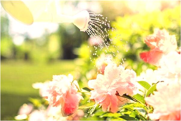 夢見祖先神明牌位消失有何寓意_周公解夢官網