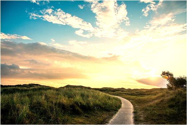 夢到了捉鱉有送人是吉兆嗎?_周公解夢官網