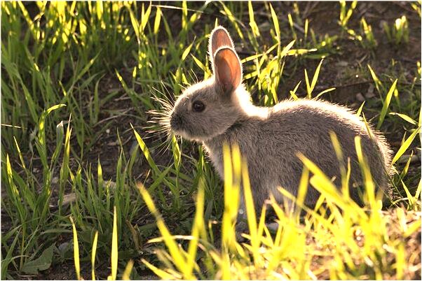 夢見漫天大雪紛飛預示什麼_周公解夢官網