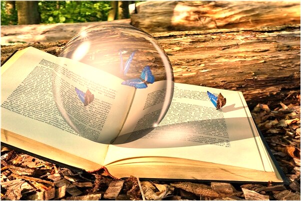 夢到了別人結婚要裝修房子會是什麼預兆_周公解夢官網