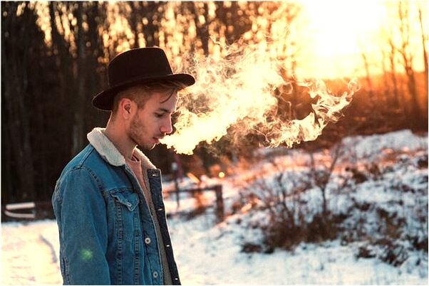 夢見黃色小雞代表著什麼？_周公解夢官網