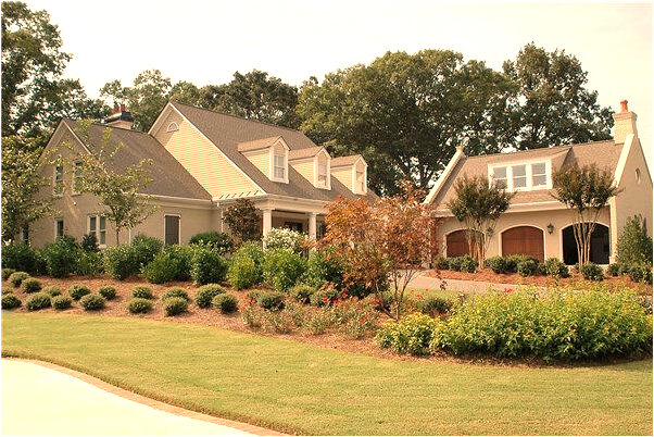 夢到了老鼠的尾巴會怎么樣_周公解夢官網