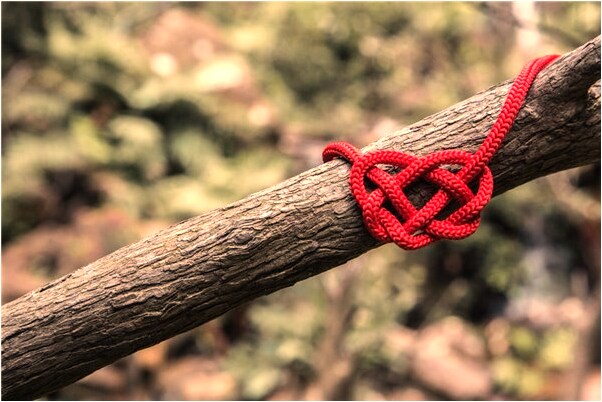 夢到了與三個女生同時進廁所胡搞會是什麼預兆_周公解夢官網