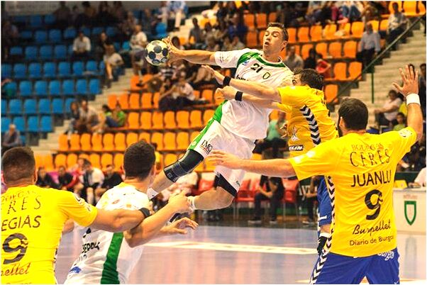 夢見野豬追人吃會有什麼預兆_周公解夢官網