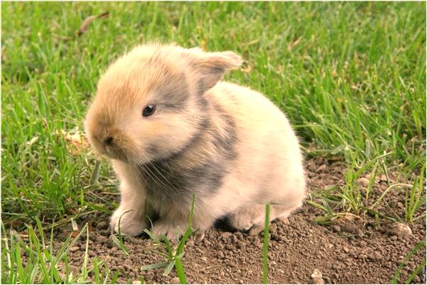 夢到打碎杯子有什麼預示嗎_周公解夢官網