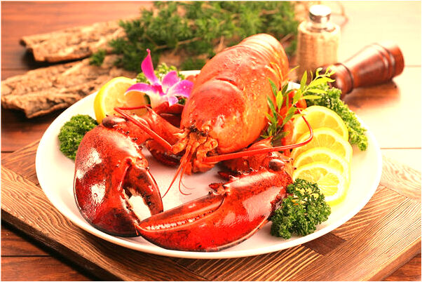 夢見小貓吃很飽意味著什麼_周公解夢官網