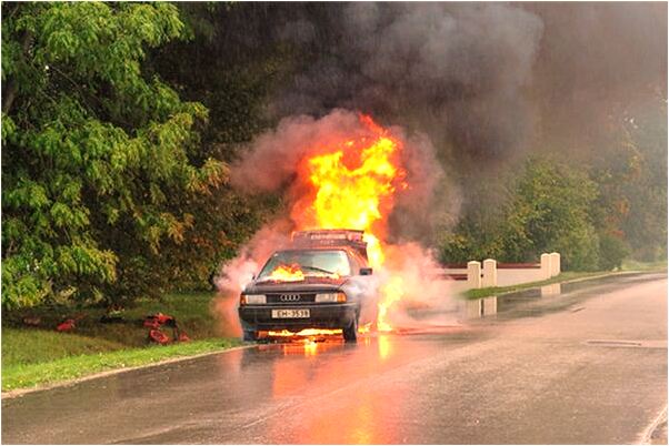 夢到了解救落水的小狗是啥預兆_周公解夢官網