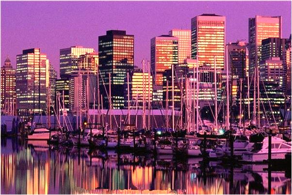 夢見做愛真圖是什麼意思_周公解夢官網