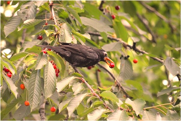 夢到了上級領導打我頭和肩膀的預兆_周公解夢官網